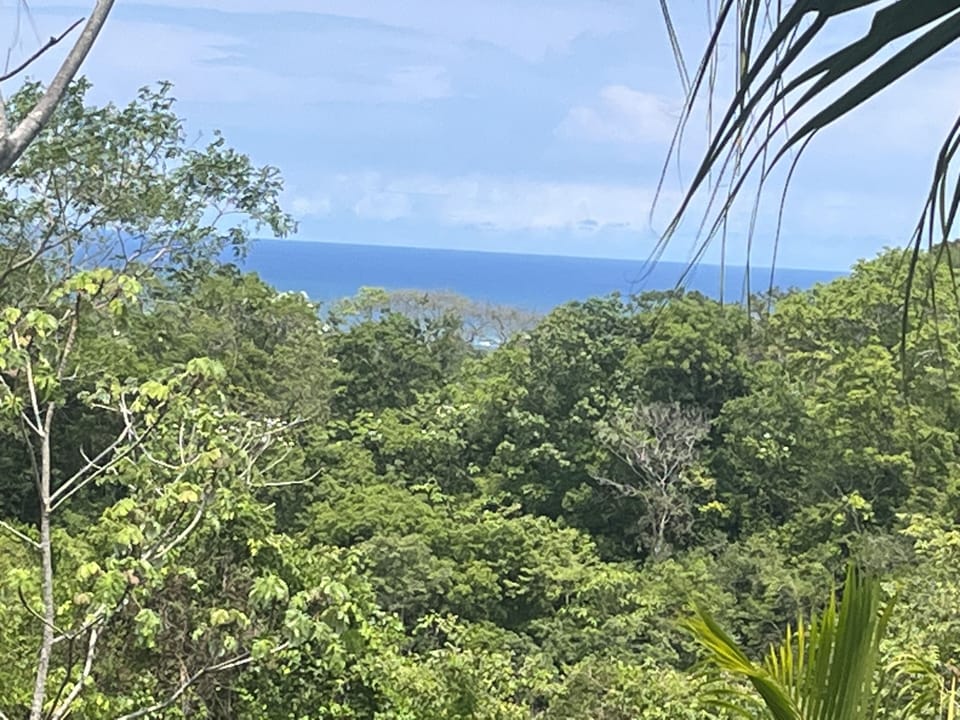 View of Pacific from the roof