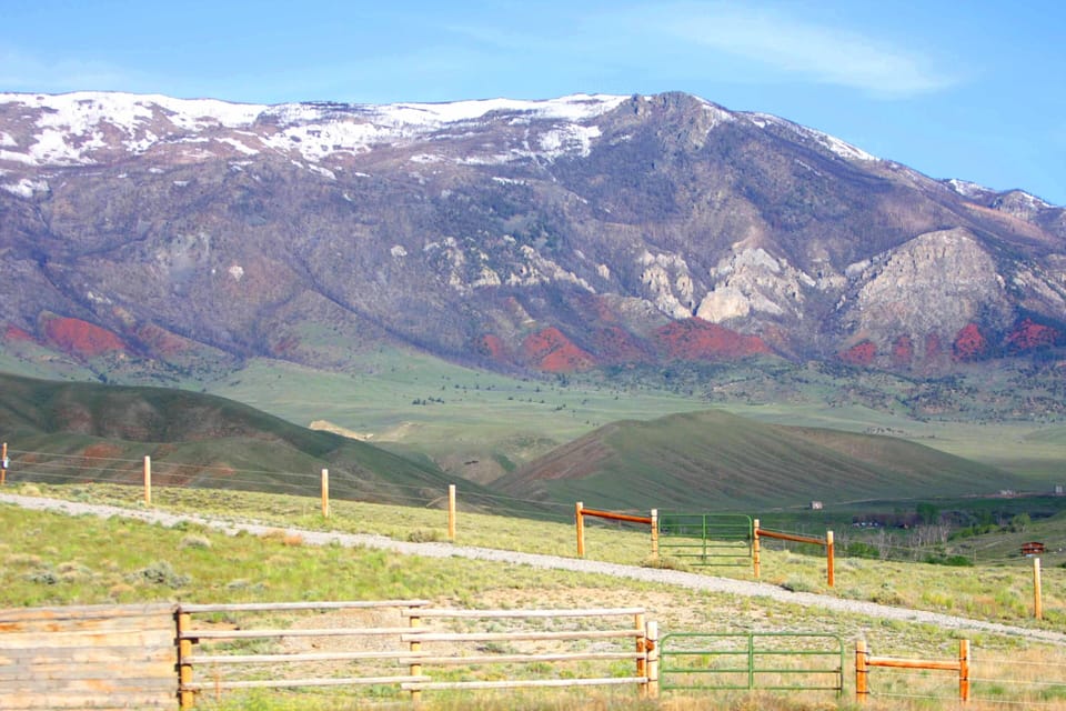Summer At The Ranch