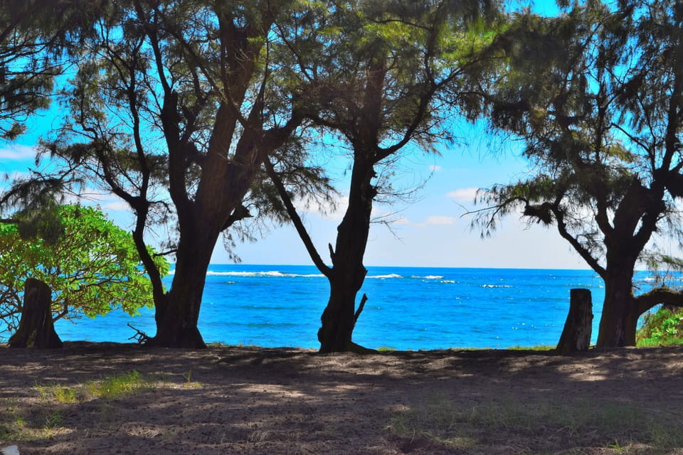 View of ocean from paved beach path