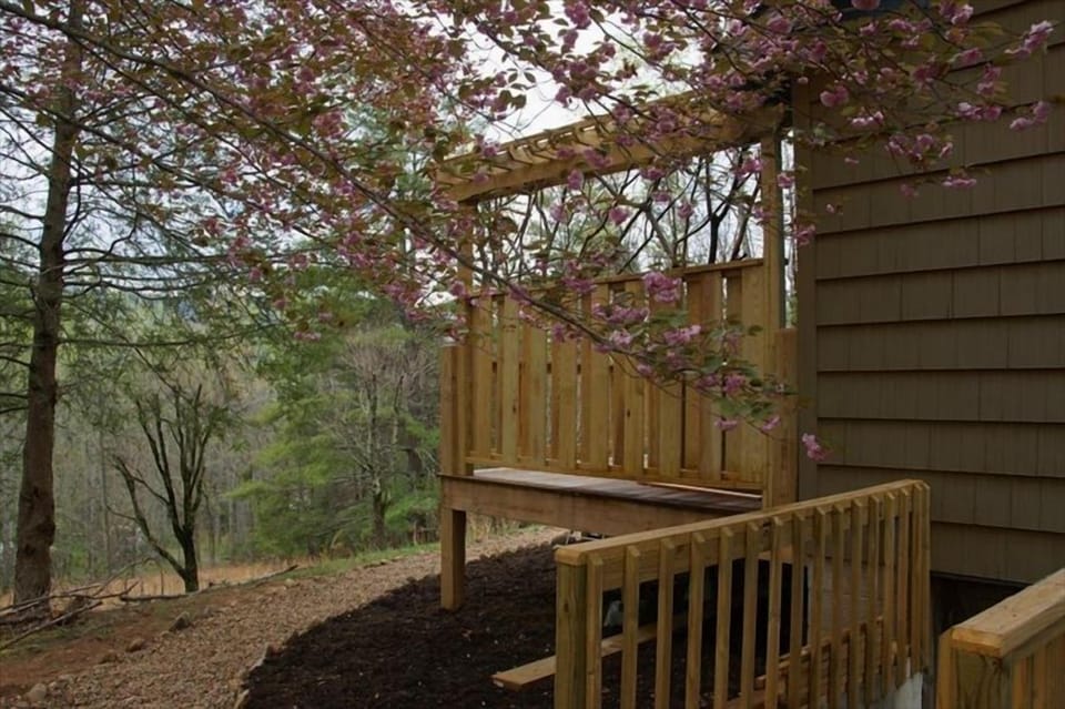 Many beautiful flowering trees in Spring
