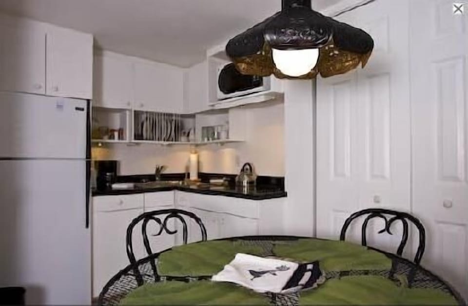 Kitchen/dinette. Washer and dryer behind door.