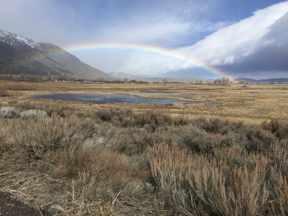The raw western beauty of Carson Valley - just 10 minutes down HiWay 207