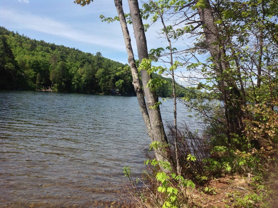 Lake front

