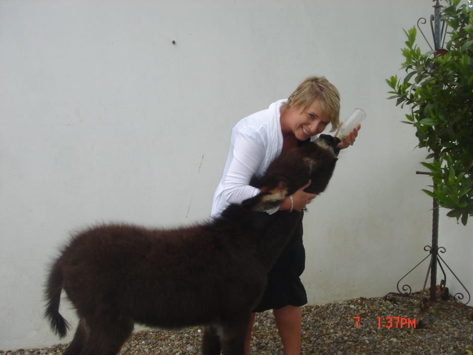 Breakfast at Ashbrook with Rosey.