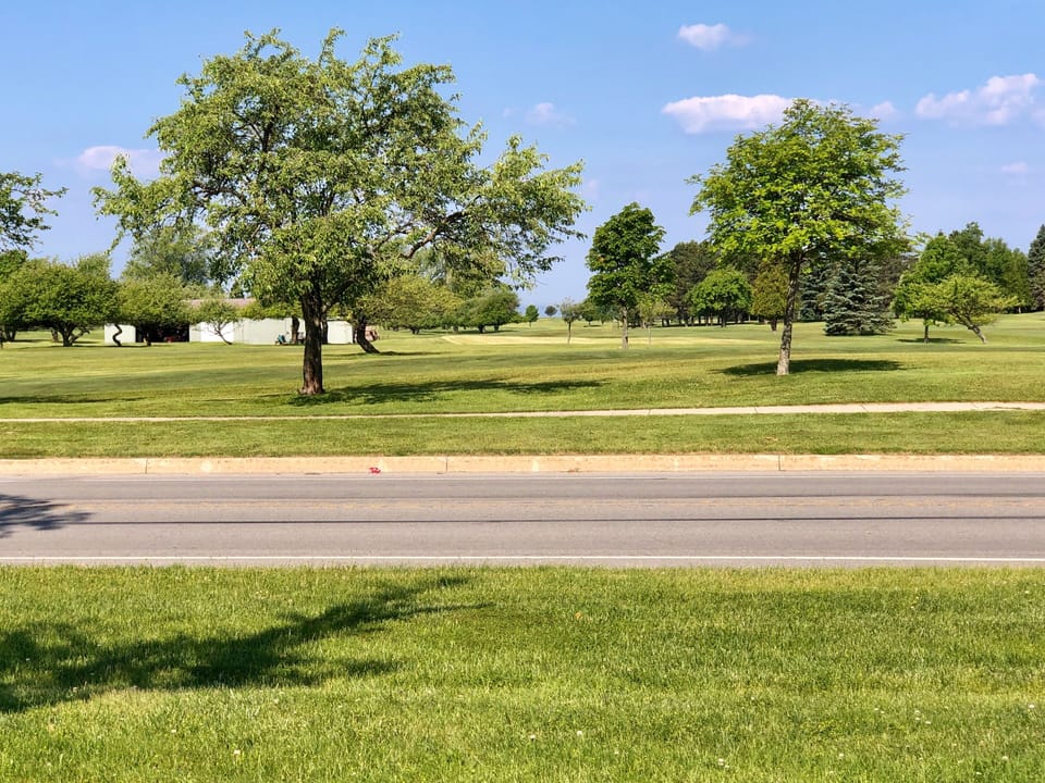 View across the street - Golf course, Lake Michigan, deer, turkey and apple tree