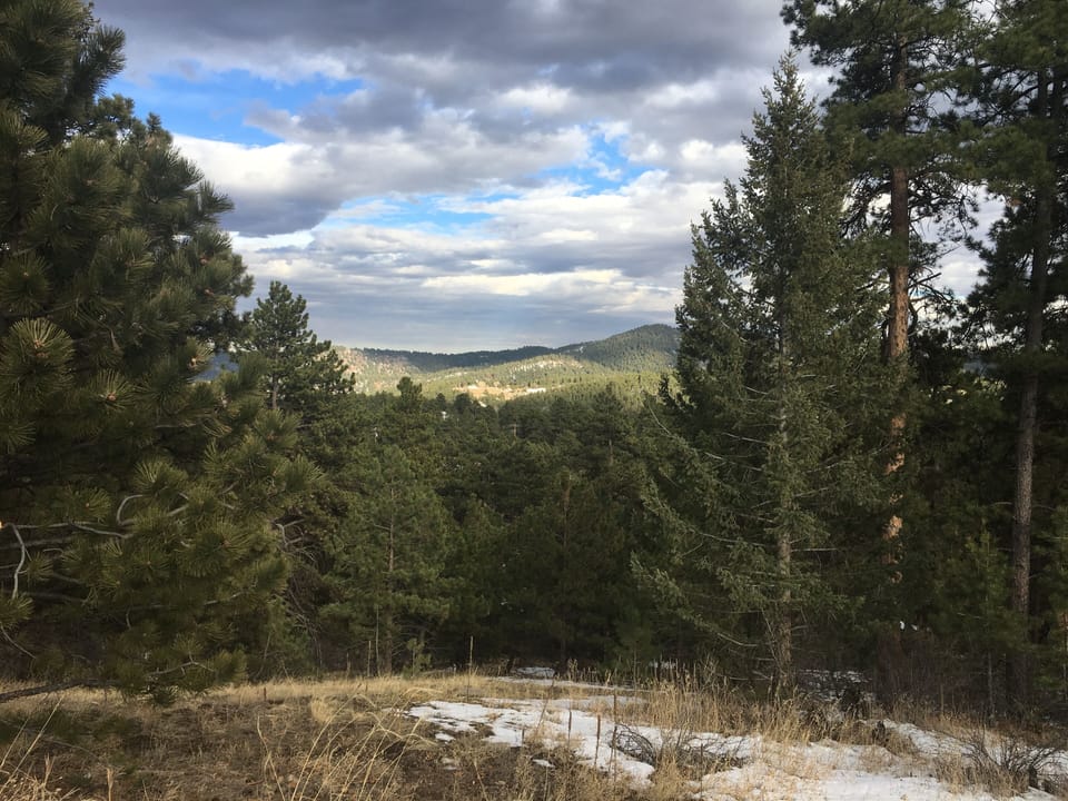 Walk through the neighborhood view!