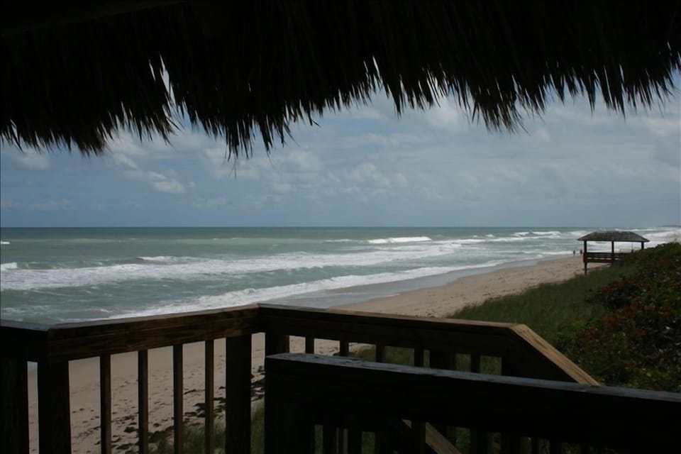 View from our neighborhood tiki hut at the beach
