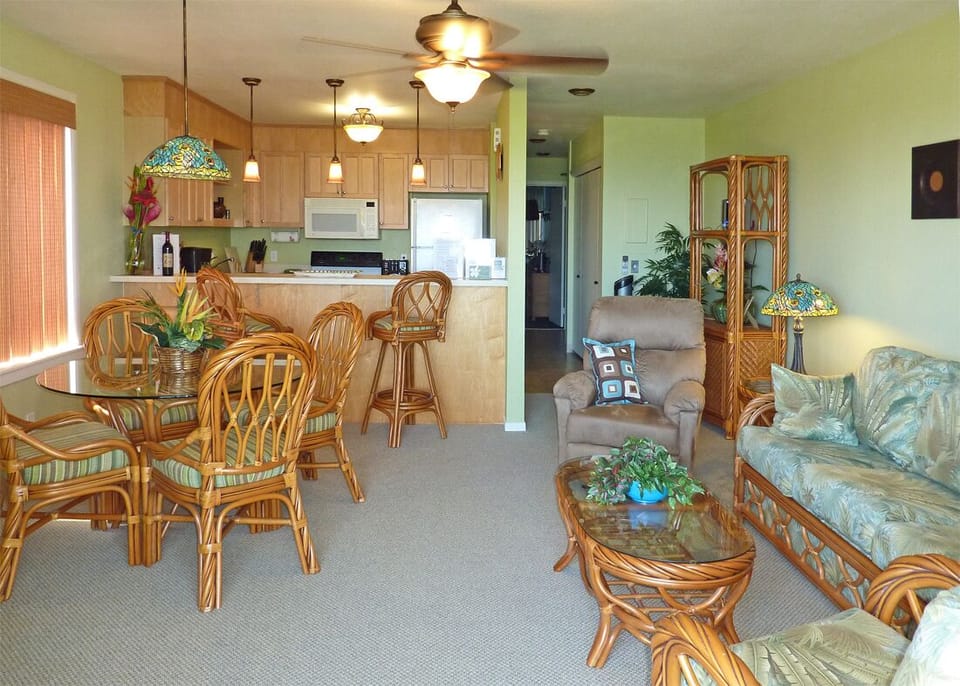 C102 Interior. . .Air Conditioned Unit