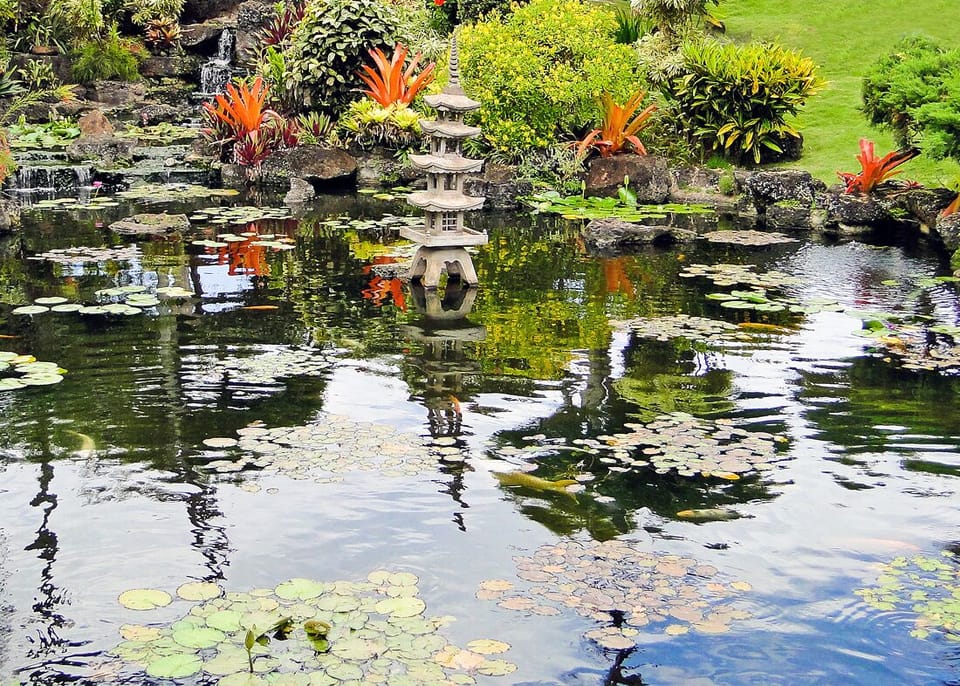 Hawaiian Gardens And Koi Pond