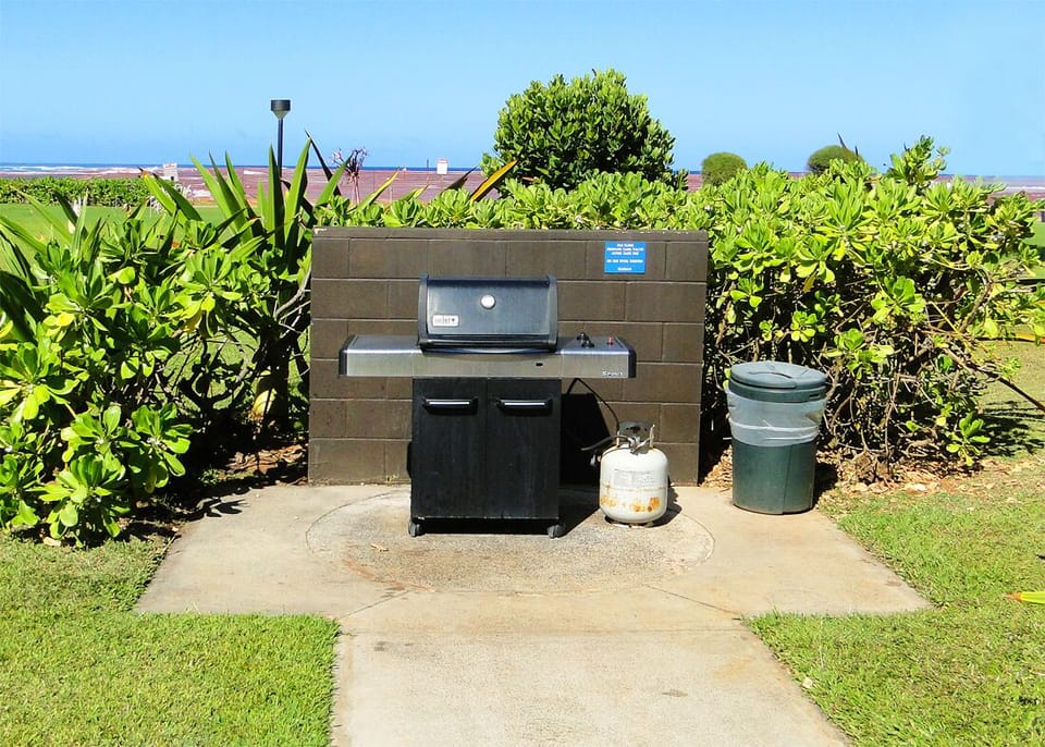 Several Barbecue Areas