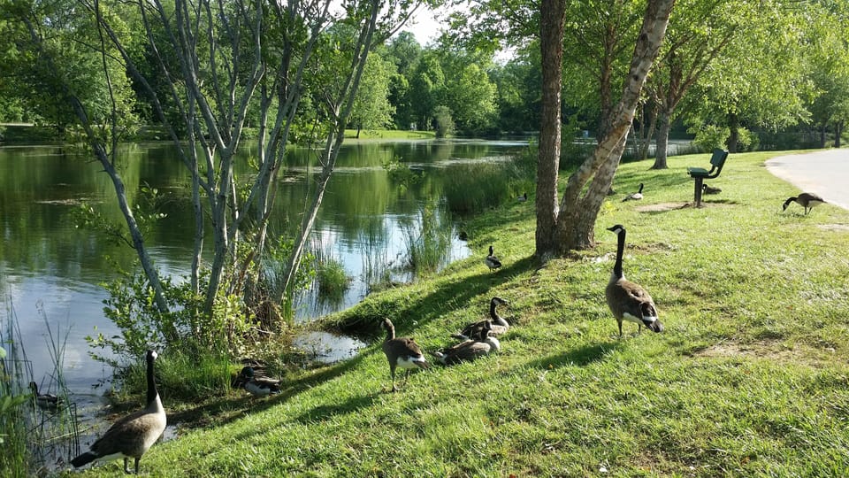 Owen park lakes, one half mile away