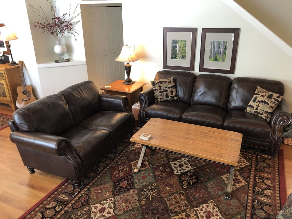 Family room with cozy leather couches