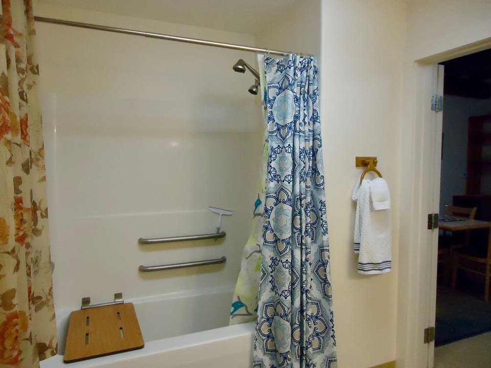 bathtub shower, check out the seat, its for us old Farts. It does flip up! Like?