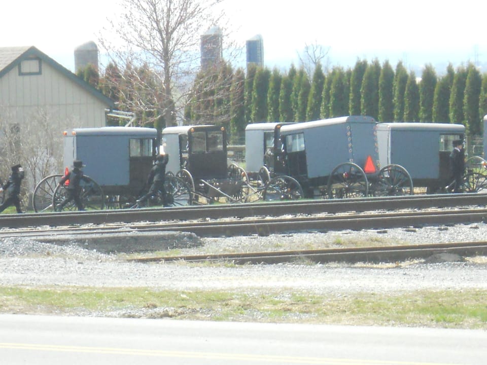 Amish buggies at our neighbors house