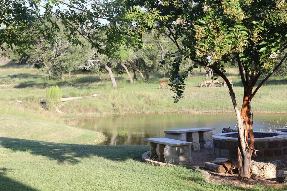 Firepit beside pond with views of deer and trees and trails.