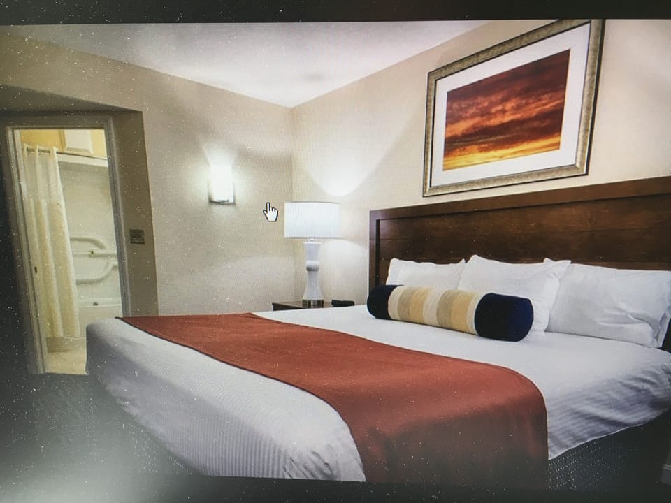 masterbedroom with king size bed