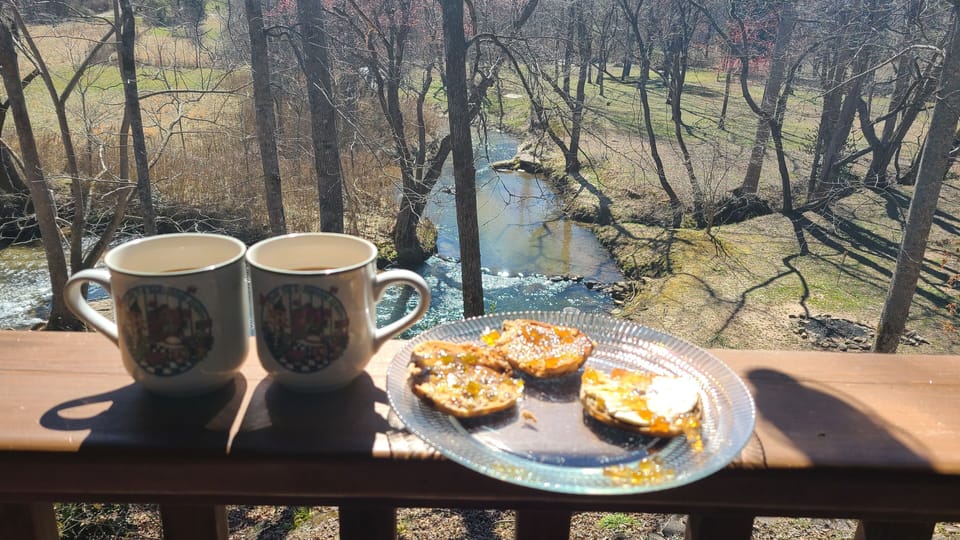 Morning view of the creek from the deck