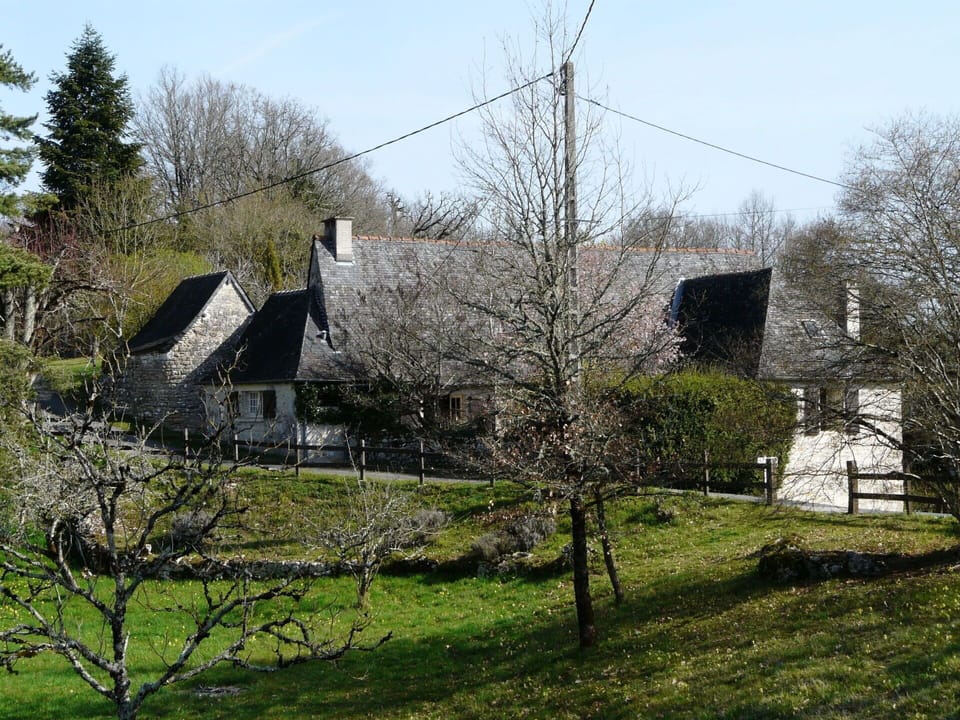 Tree, House, Rural Area, Spring, Cottage, Branch, Plant, Grass, Farmhouse, Architecture