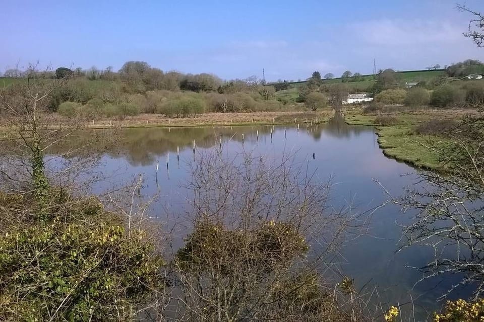 Lake on the farm's SSSI Salt Marsh Nature Reserve