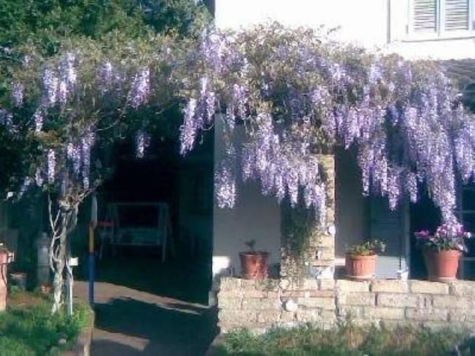 Garden, Park