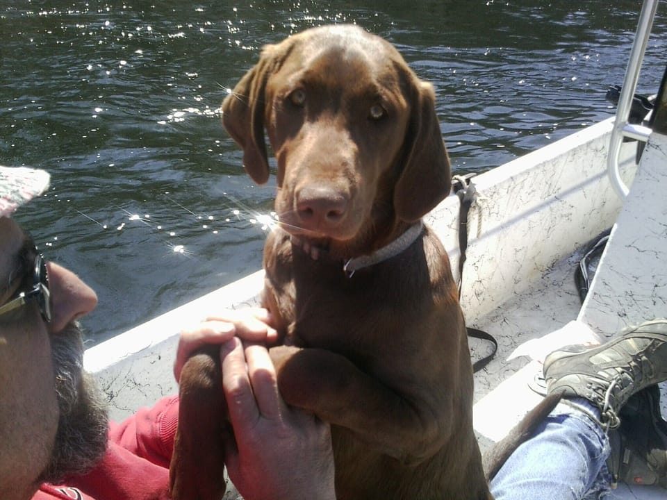 Boating on Salmon River