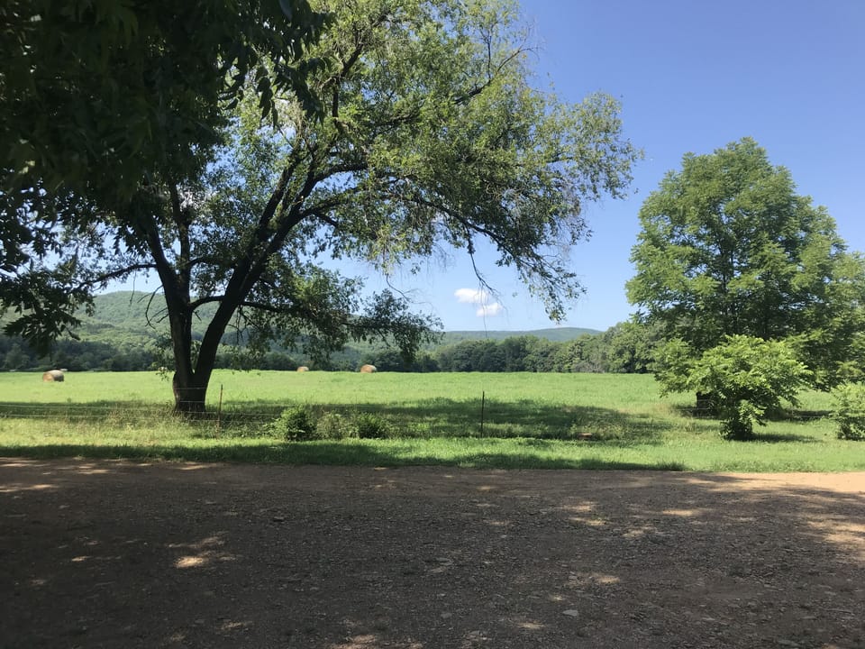 Beautiful field and hills bordering the house!