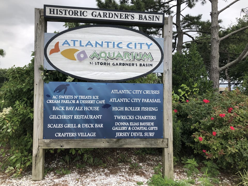 Just a short walk away to Gardner's Basin!