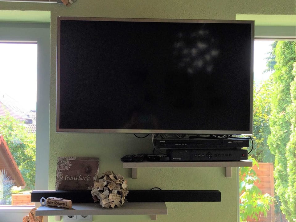 Television