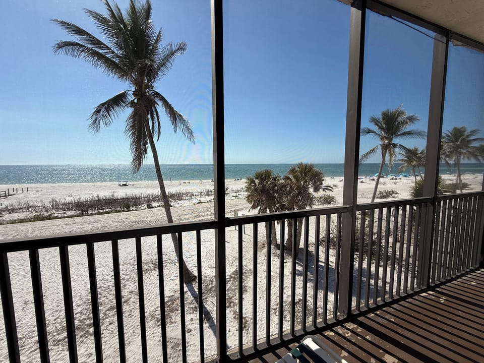 View from the kitchen table 