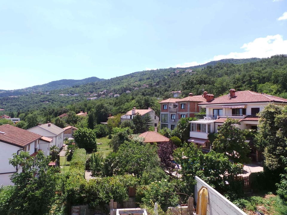 external view