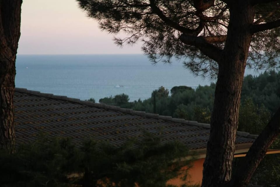 Sea view