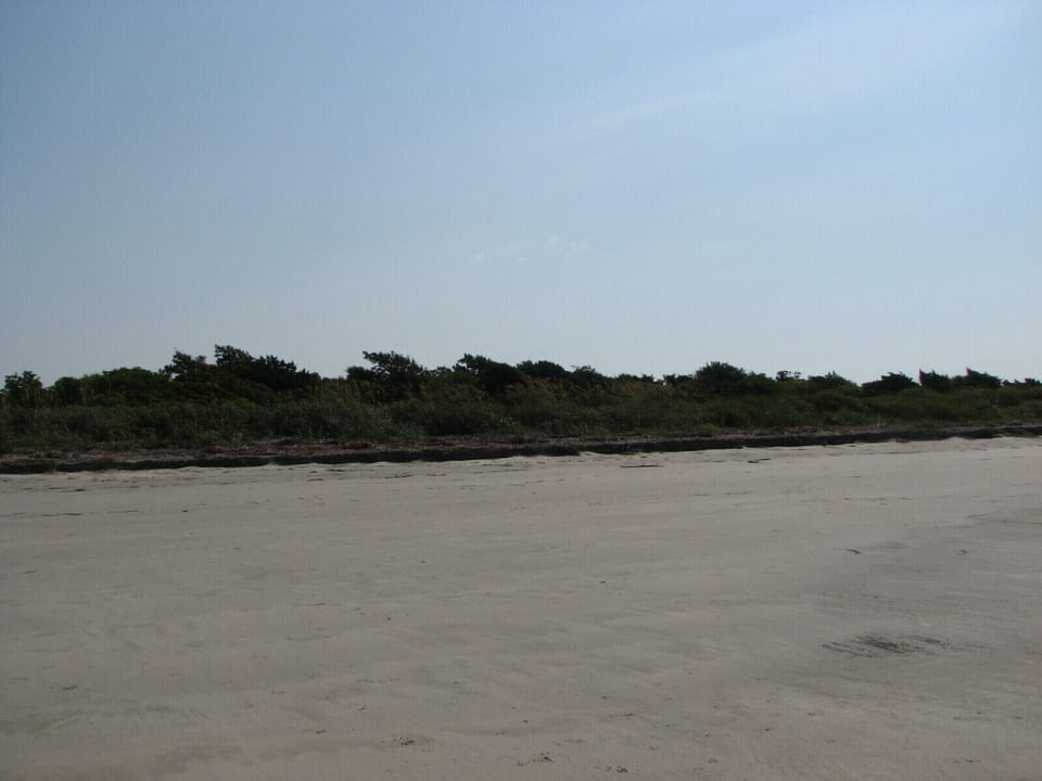 Adjacent Maritime Forrest Features a Nature Trail 
