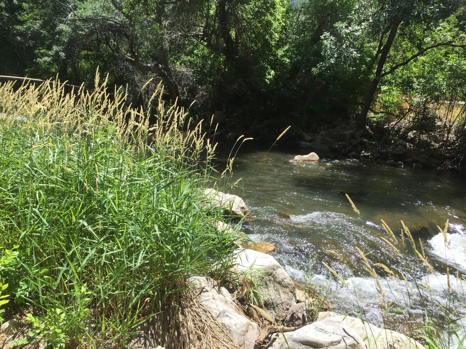 Ogden River just steps from the back yard. Fabulous fishing. 
