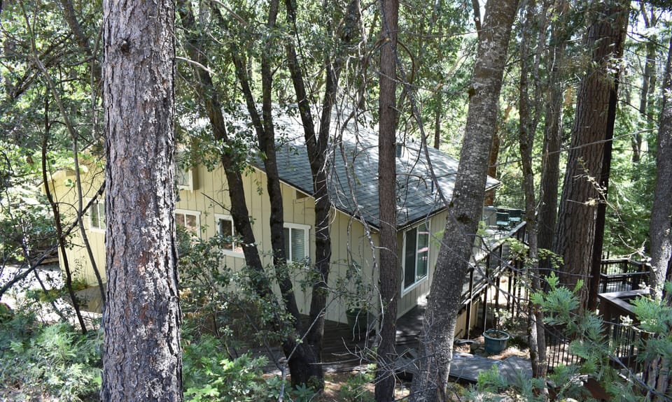 Front of the cabin