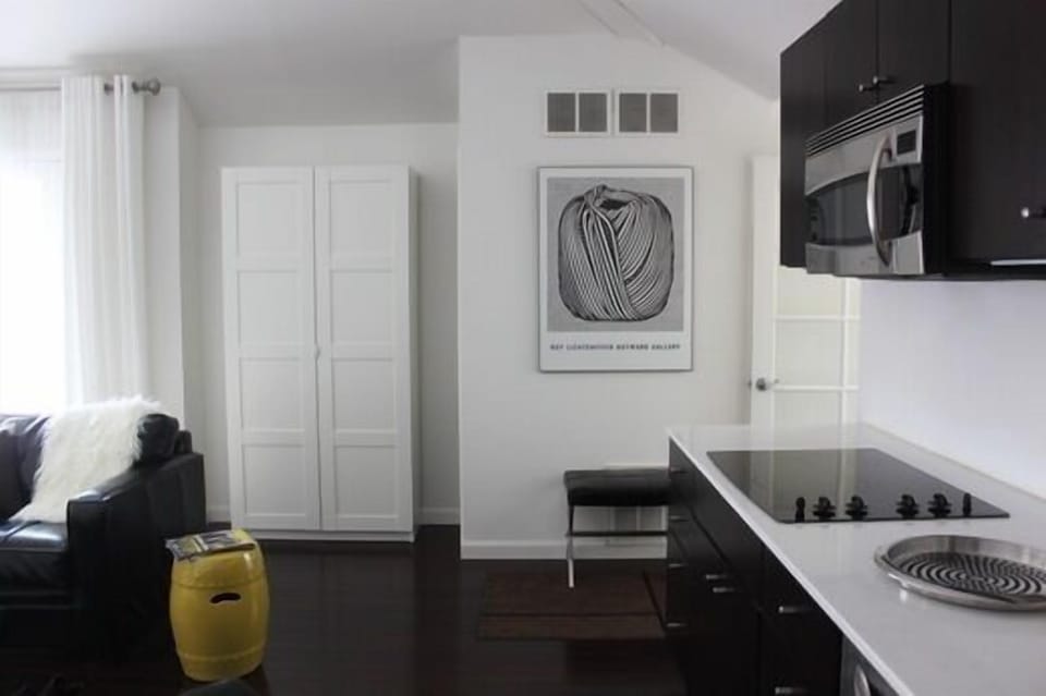 Large Microwave and Convection Oven