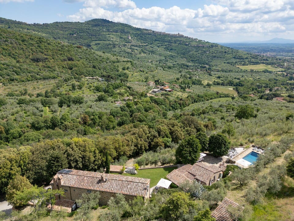 Panoramic view