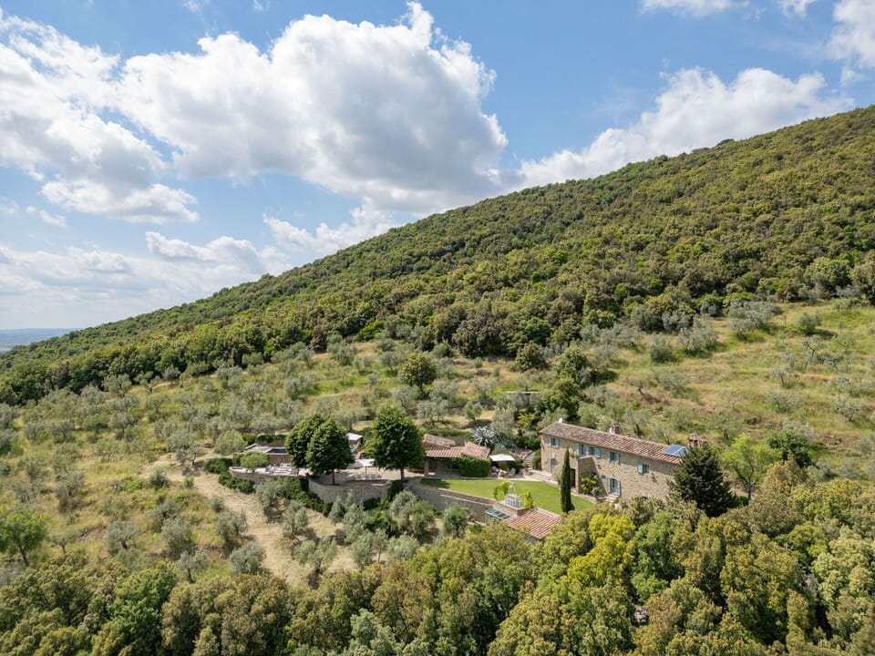 Panoramic view