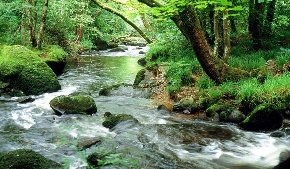 The river Teign is a few minutes walk from the front door