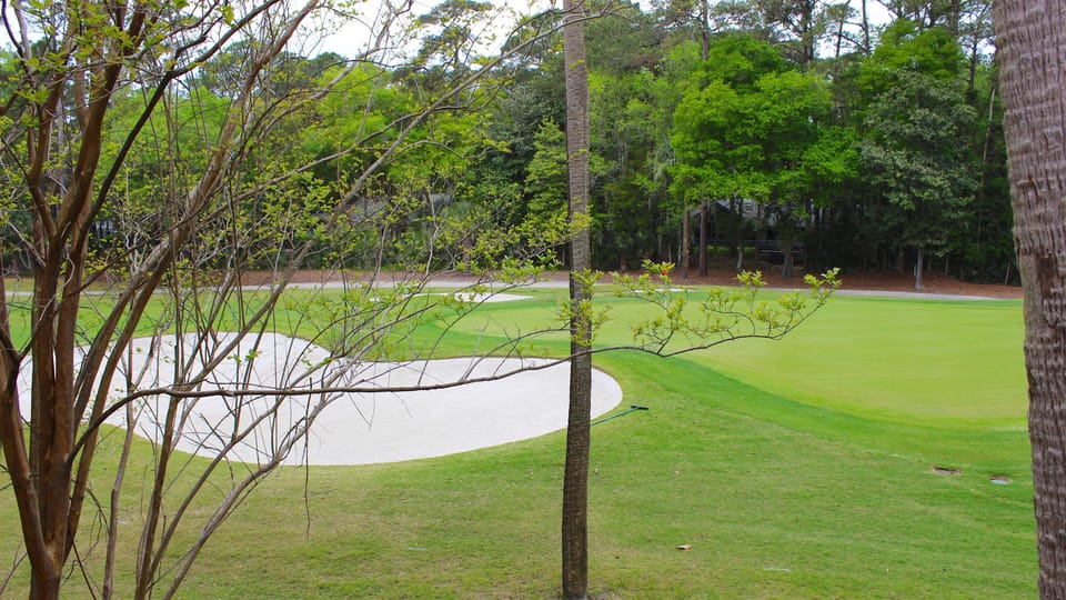 Watch the golfers hit the green and sink the putts on hole 5th green.