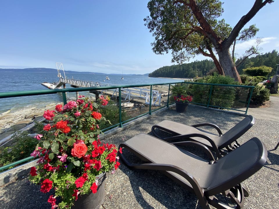 Enjoy relaxing on the loungers in the Resorts front seating area.