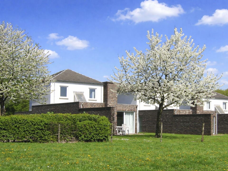 Shrub, Garden, Twig, Lawn, Blossom, Landscaping, Yard, Hedge, Backyard