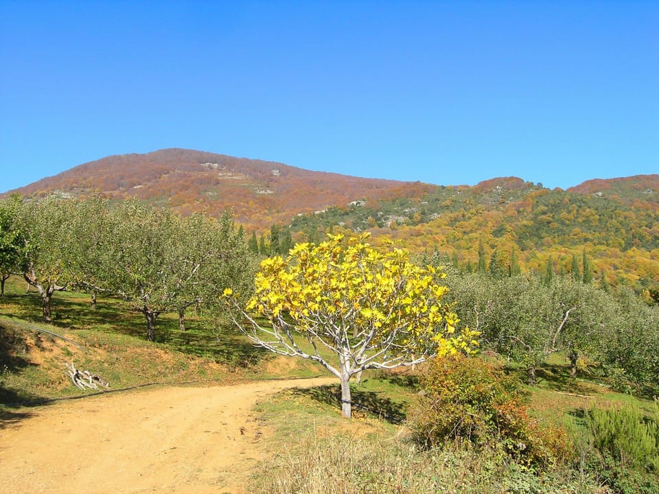 Walking on the mountain in December