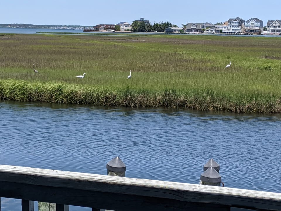 View from property