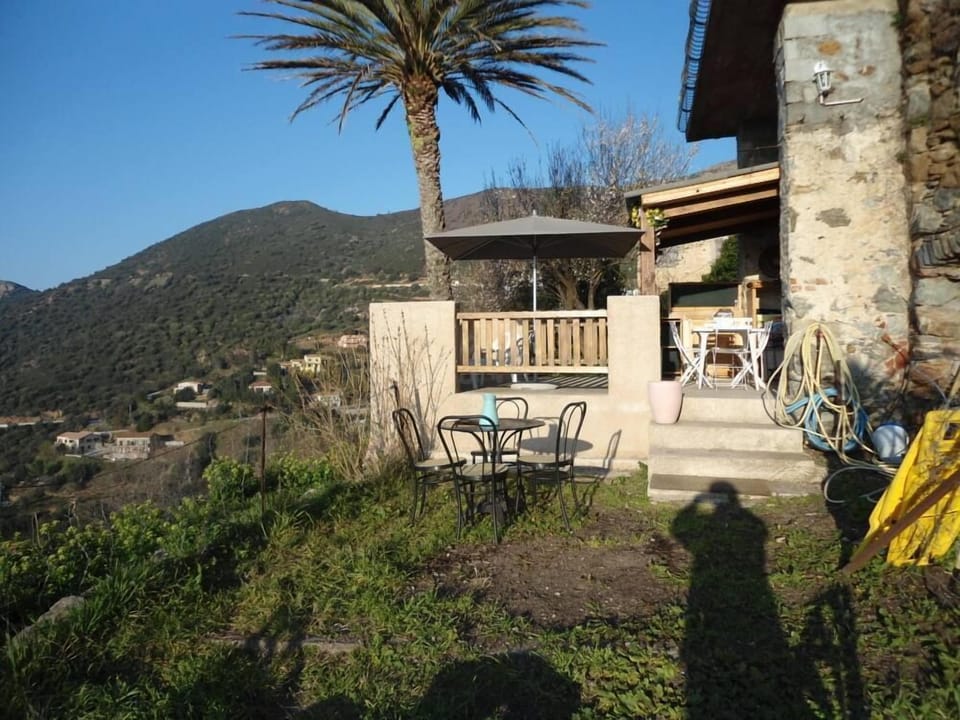 Terrace / Balcony