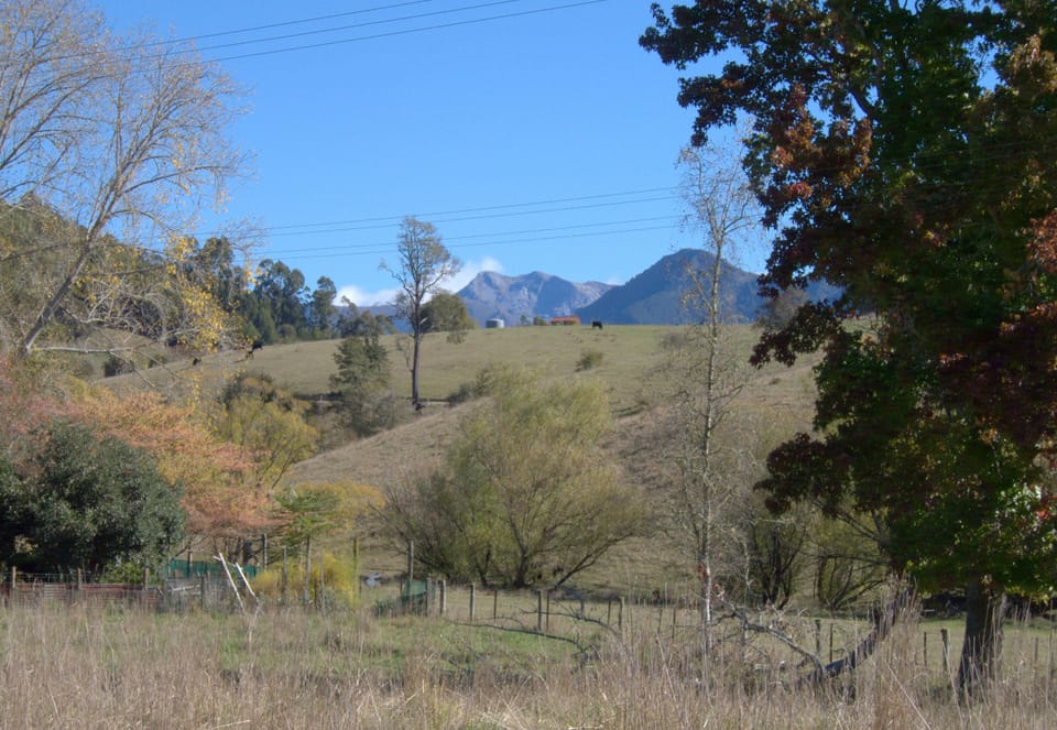 View From Sunroom Window
