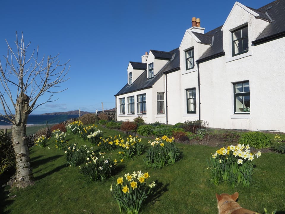 Springtime view of the West face of the house.