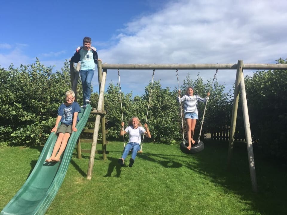 The swings in the garden getting some good use!