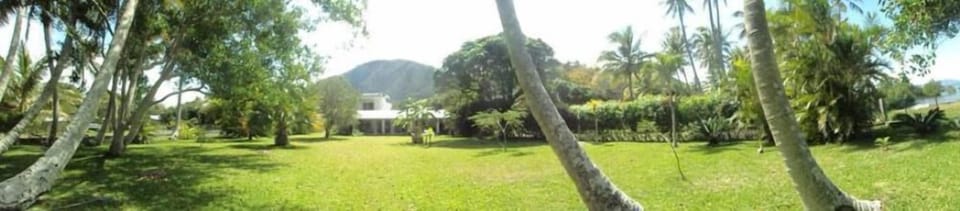 Garden, Park