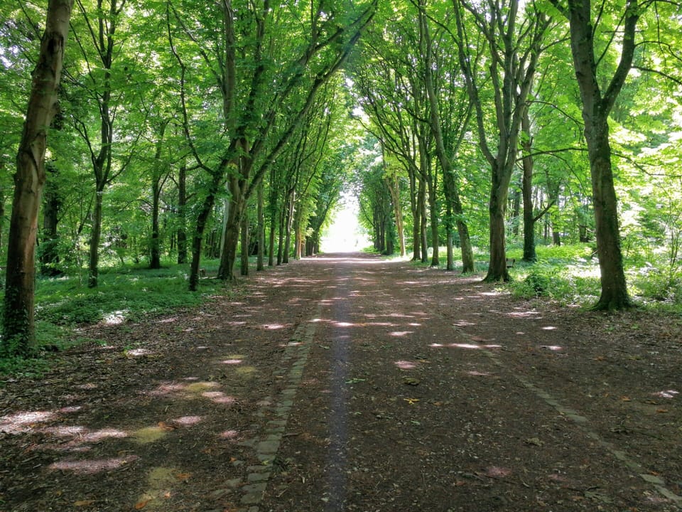 Park of the Castle St Germain en Laye