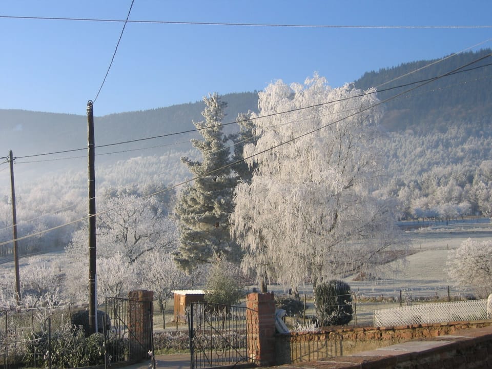 Come and discover the Floralies in the heart of the Val de Villé Cottage in Grand Est